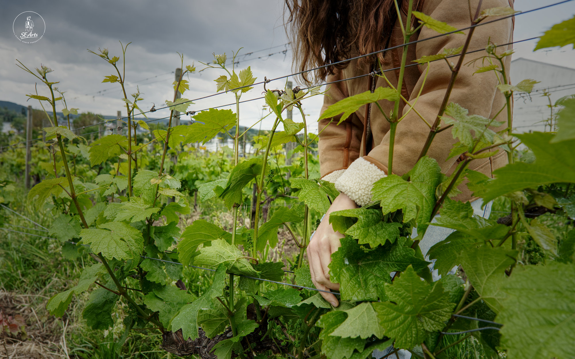 Rheingau Blog_02